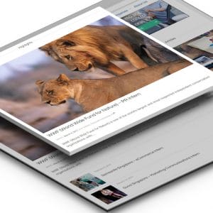 Homepage Feature